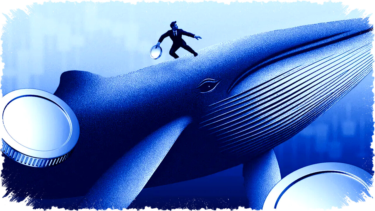 Crypto Whales Bergerak Besar di Maret 2026, Mengejar Breakout dan Potensi Keuntungan Spektakuler dari UNI, BCH, dan LINK! Crypto Whales Bergerak Besar di Maret 2026, Mengejar Breakout dan Potensi Keuntungan Spektakuler dari UNI, BCH, dan LINK!