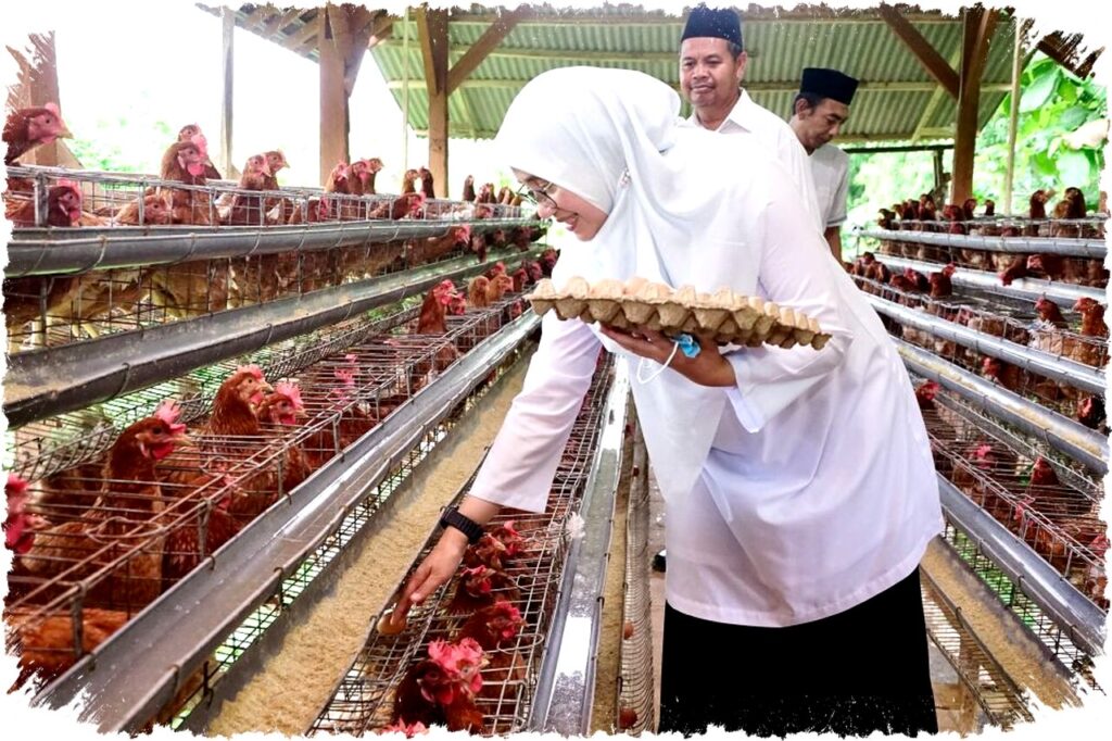 Pemkab Banyuwangi Dorong Desa Bangun Kemandirian Ekonomi Lewat Peternakan Ayam Petelur yang Menggerakkan Warga dan Cegah Stunting