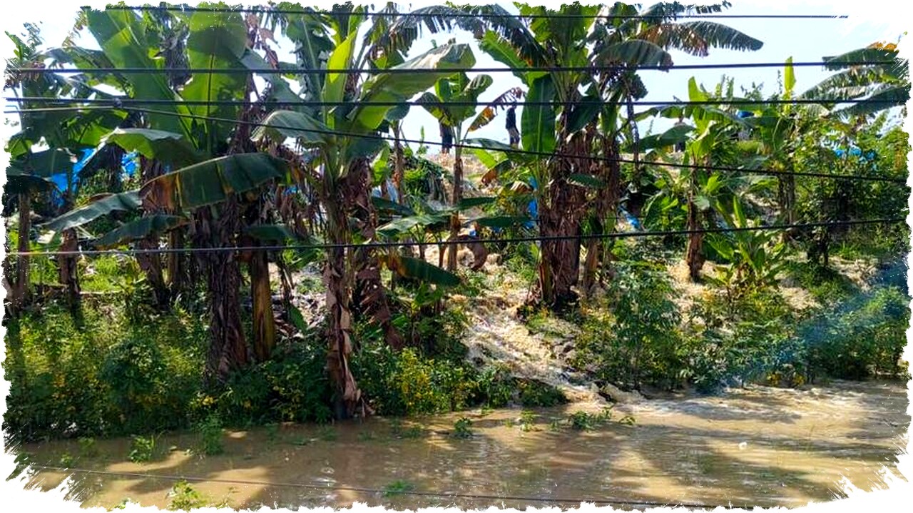 Banjir Masif Rendam 34 Desa di Grobogan, 5.214 Keluarga Terjebak Krisis Air dan Kerusakan Tanggul, Ancaman Banjir Susulan Kini Mengintai! Banjir Masif Rendam 34 Desa di Grobogan, 5.214 Keluarga Terjebak Krisis Air dan Kerusakan Tanggul, Ancaman Banjir Susulan Kini Mengintai!