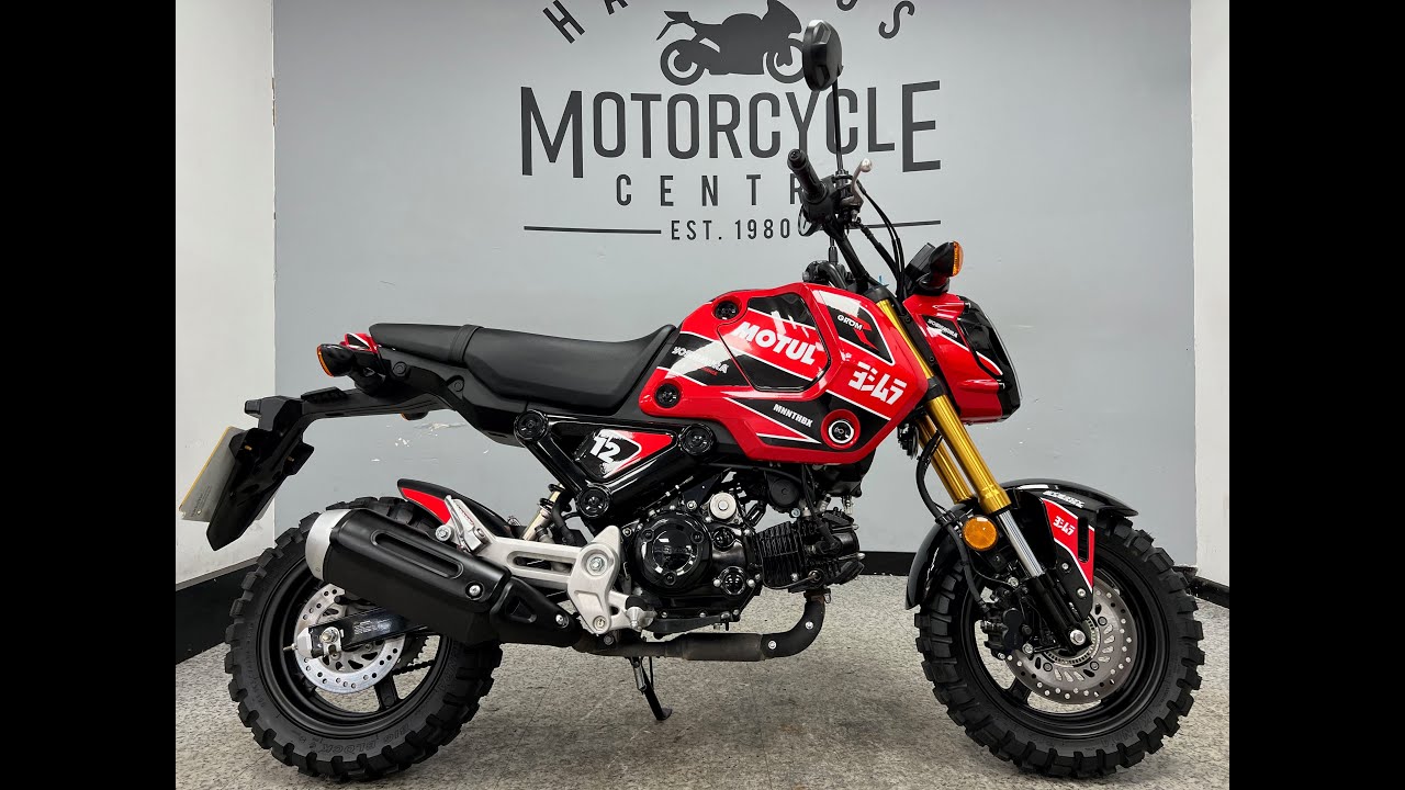 Bukan Sekadar Motor Kecil, Honda MSX125 Grom Buktikan Ukuran Bukan Penentu Pengalaman Riding
