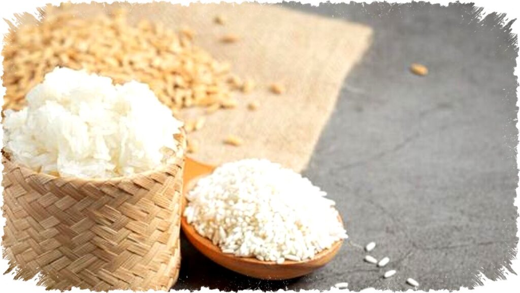 Lepas dari Nasi Putih! 5 Alternatif Karbohidrat Super Kenyang dan Sehat yang Bikin Pola Makanmu Lebih Cerdas dan Tubuh Lebih Fit