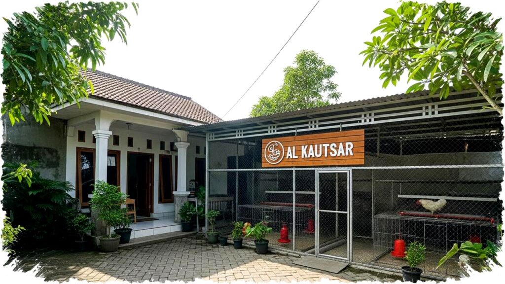 10 Nama Ternak Ayam Islami yang Tak Hanya Berkah, Tapi Bisa Jadi Magnet Rezeki Usaha Rumahan Anda!