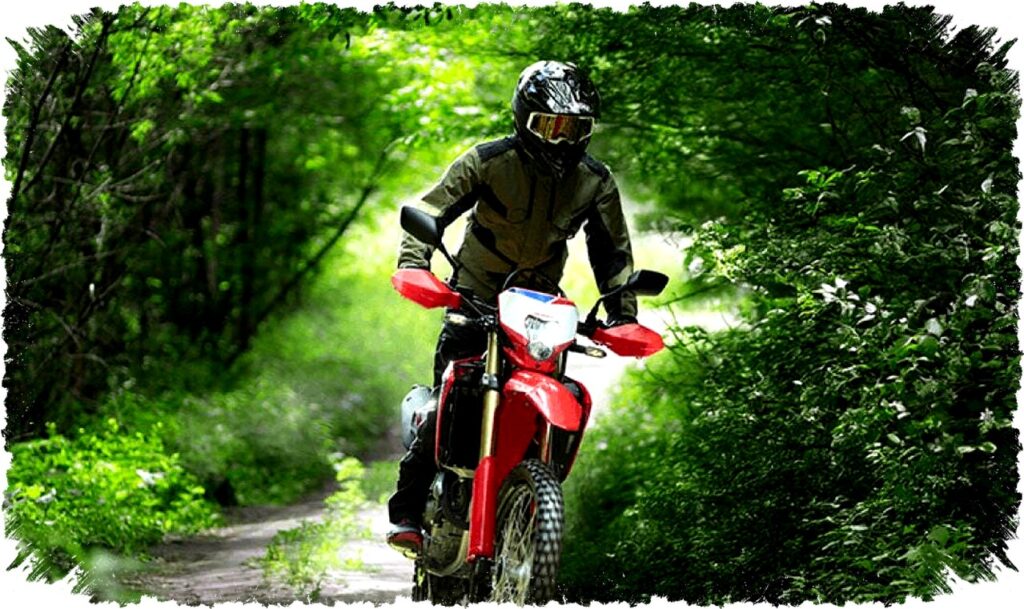 Honda CRF250L: Motor Off Road Tangguh dengan Mesin Bandel, Suspensi Andal, dan Kekurangan Jok Tinggi