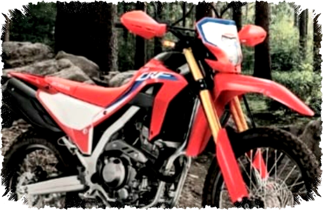 Bedah Spesifikasi Honda CRF250L 2026: Motor Trail 250cc Premium, Harga Rp 86 Juta!