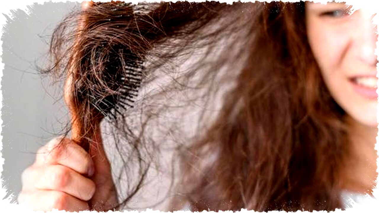 Rambut Halus & Anti Ngembang dengan 3 Hair Care Andalan: Fino, Mora, & &Honey untuk Rambut Sulit Diatur