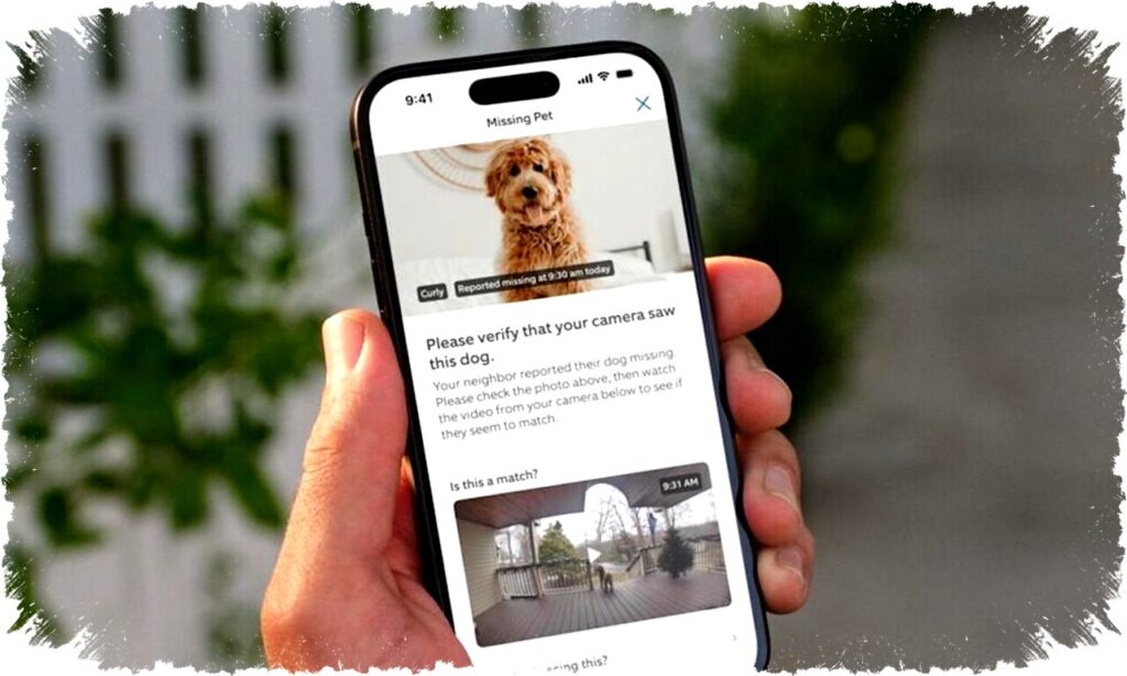 Ring Buka Akses Neighbors App untuk Laporkan dan Temukan Hewan Peliharaan Hilang Lebih Cepat