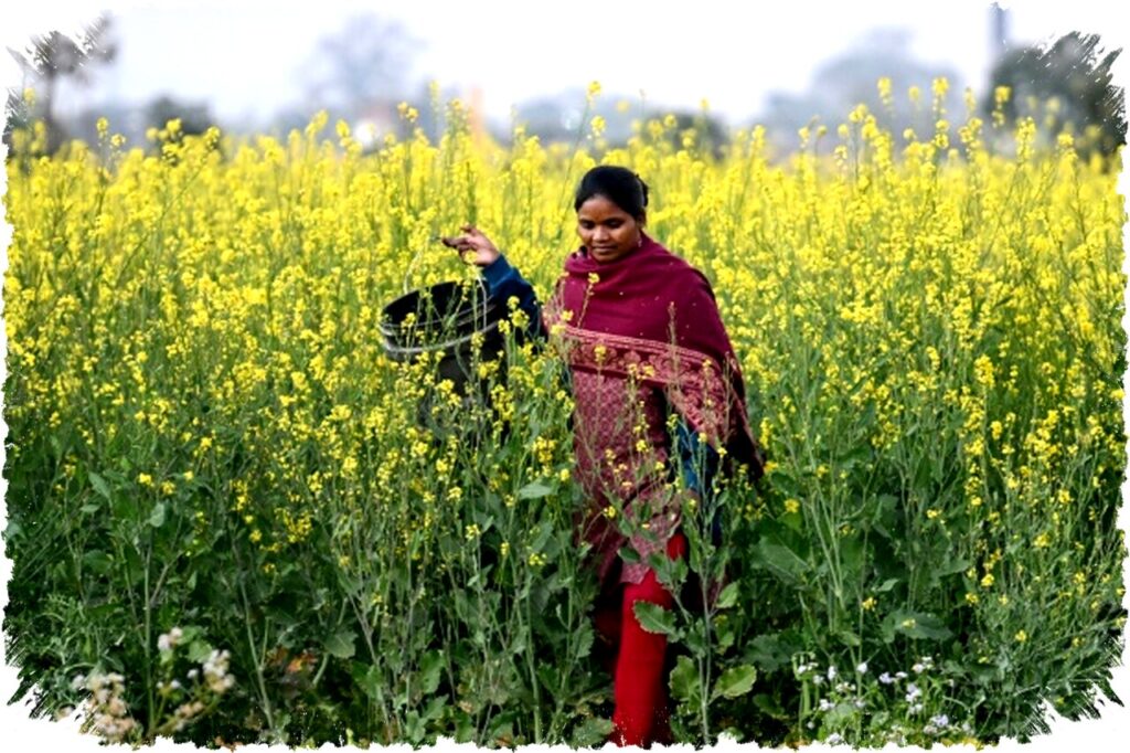 Pekerja Desa India Dorong Revolusi AI Global: Data Labeling dan Kesempatan Baru bagi Wanita Rural