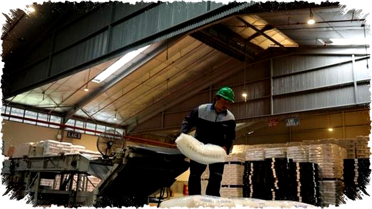 Perkuat Hilirisasi Petrokimia, Polytama Andalkan Kilang Pertamina untuk Pasok Polypropylene Berkualitas