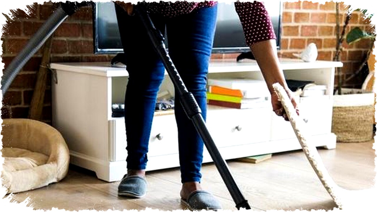 Solusi Praktis Anti Lembab & Debu untuk Rumah Tropis: Dehumidifier & Vacuum Cleaner Portable