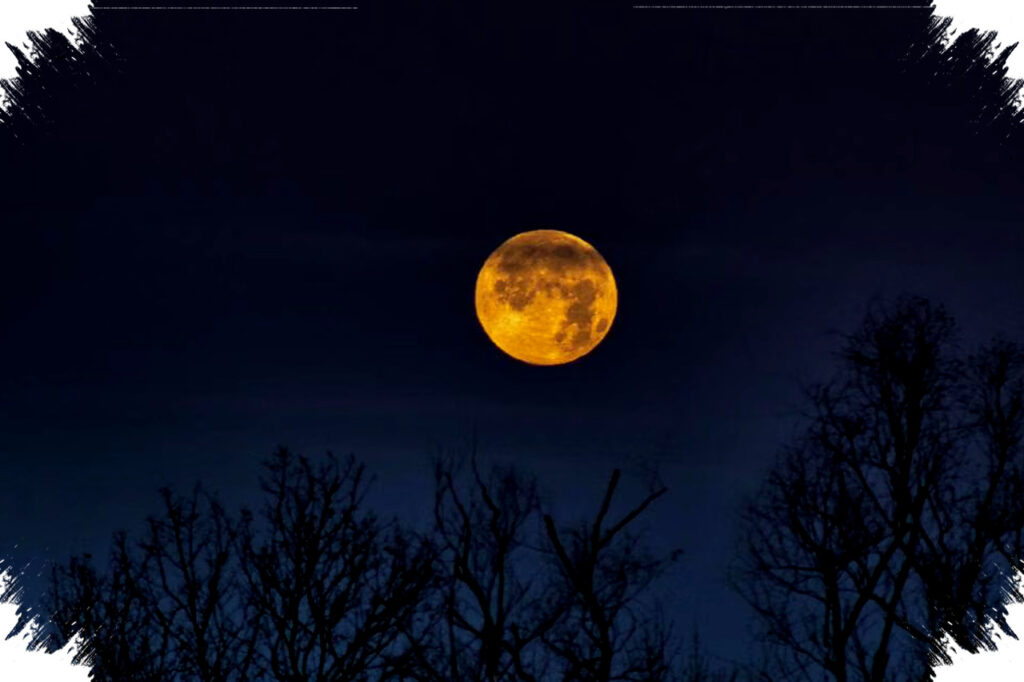 Bulan Ternyata Berbau Seperti Bubuk Mesiu, Ini Penjelasan Ilmiahnya