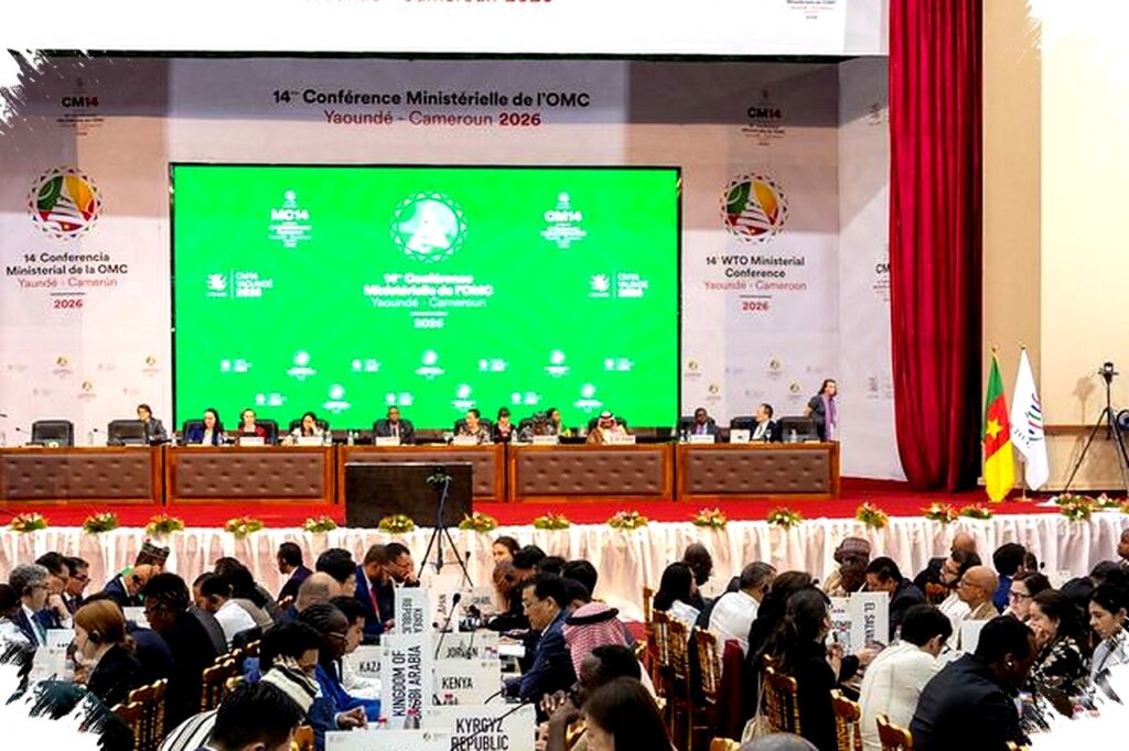 Brazil Blokir Perpanjangan Tarif E-Commerce, Perundingan WTO Buntu di Kamerun