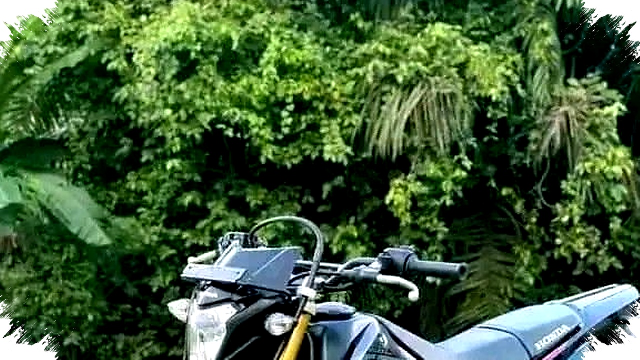Honda CRF Tangguh di Medan Berat, Tapi 5 Kekurangannya Tak Bisa Diabaikan