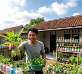 Toples Kue Bekas Ternyata Bisa Jadi Kebun Mini, Panen Kangkung dan Bayam Cuma 2 Minggu Toples Kue Bekas Ternyata Bisa Jadi Kebun Mini, Panen Kangkung dan Bayam Cuma 2 Minggu