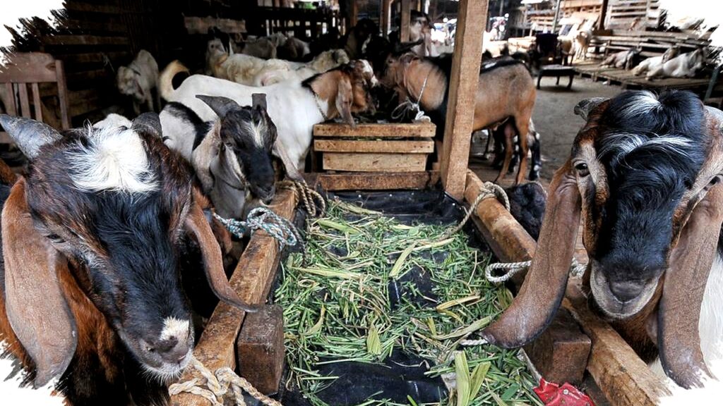 10 Peluang Usaha Stabil Pasca Hari Raya, Hadapi Penurunan Permintaan dengan Strategi Raih Cuan Konsisten
