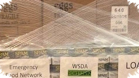 TSA Terabaikan Di Tengah Krisis, Bandara Berjuang Beri Bantuan Makanan Sambil Menyambung Hidup