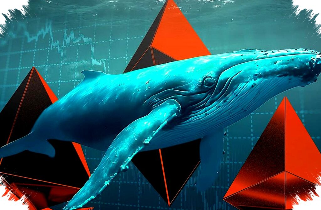 Kesalahan Tragis Pengguna Crypto Gagal Tukar $50 Juta Jadi $37 Ribu, Inilah Nasib Uangnya