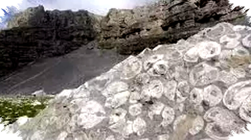 Fosil Laut di Gunung Ini Viral, Benarkah Bukti Air Bah Nabi Nuh? Simak Faktanya!