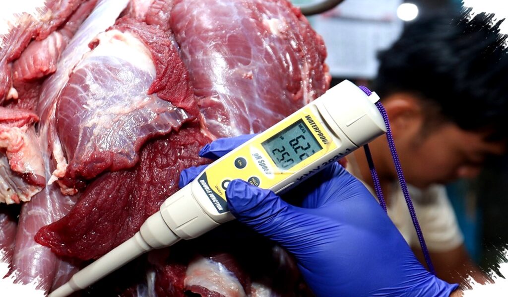 Update Terbaru Harga Daging Sapi di Aceh Barat Tembus Rp170 Ribu per Kg, Cek Detailnya!