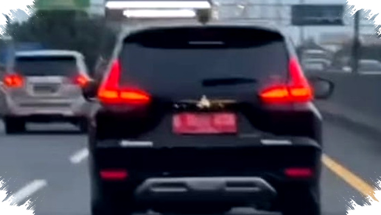 Nekat Mudik Pakai Mobil Dinas? KPK Ingatkan Risiko Benturan Kepentingan