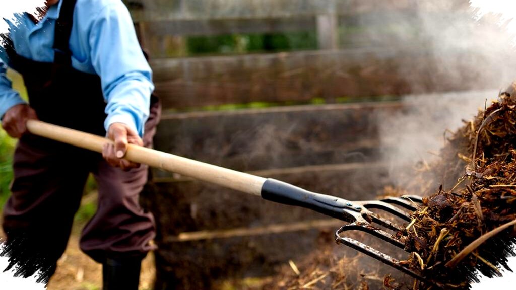 7 Cara Fermentasi Kohe Kambing Super Cepat, Rahasia Suburkan Tanaman Dalam 3 Minggu Saja!