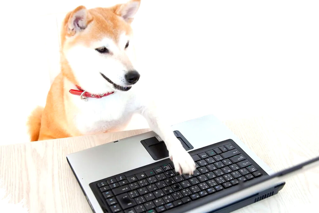 Dogecoin Meroket Lebih 6 Persen, Elon Musk dan Peluang Besar Di Balik Lonjakan Mendadak