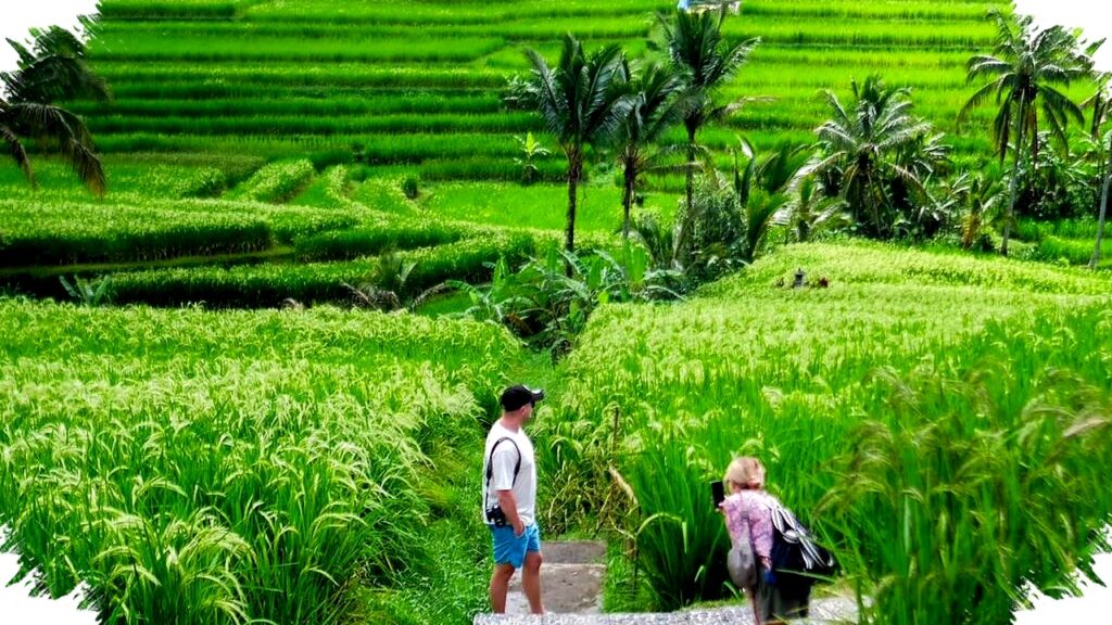 Suami Istri Bekerja Fulltime Tapi Untung Besar dari Side Hustle Sawah, Begini Rahasianya!