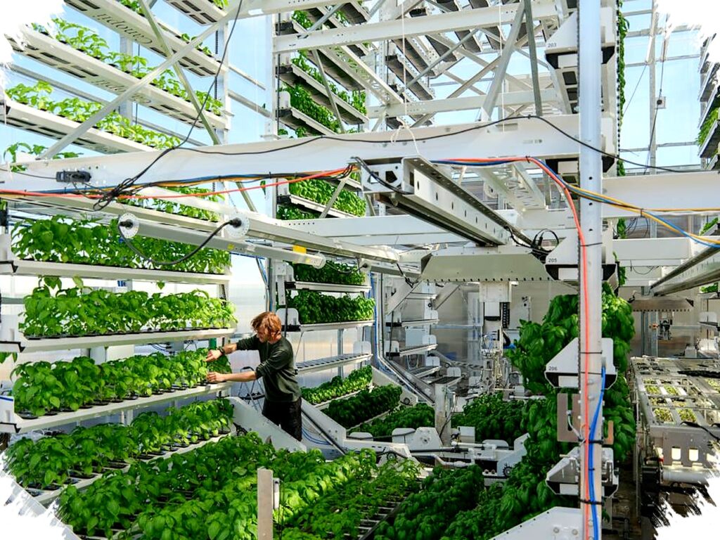 Canopii Tantang Kegagalan Indoor Farm Sebelumnya, Robotik Otomatisasi Panen Hidroponik Hemat Air