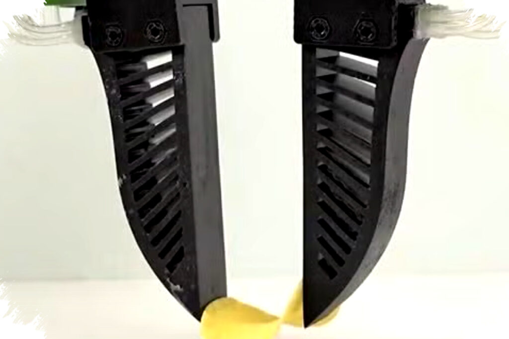 Robot Dengan Sentuhan Manusia, Mampu Memetik Pringles Tanpa Mematahkan Keajaiban Teknologi FORTE