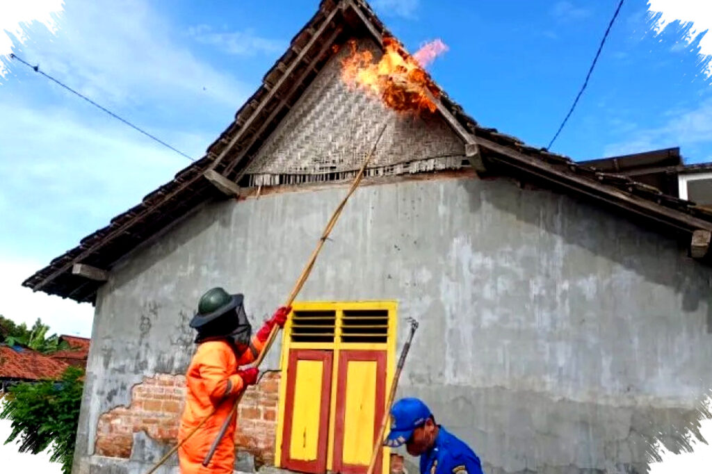 Serangan Tawon Vespa di Tulungagung Meningkat Tajam, Damkar Evakuasi 223 Sarang Dalam Dua Bulan Awal 2026