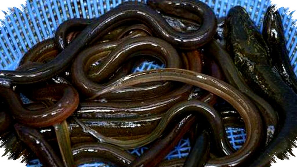12 Ide Usaha Ternak Unik Bernilai Jual Tinggi di Lahan Sempit, Peluang Emas yang Mengancam Bisnis Konvensional Peternakan!
