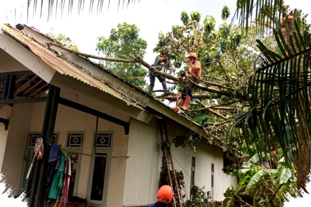 114 Rumah Rusak Tertimpa Pohon Tumbang dan Angin Kencang di Ciamis, Warga Terancam Kehilangan Tempat Tinggal dan Butuh Bantuan Darurat