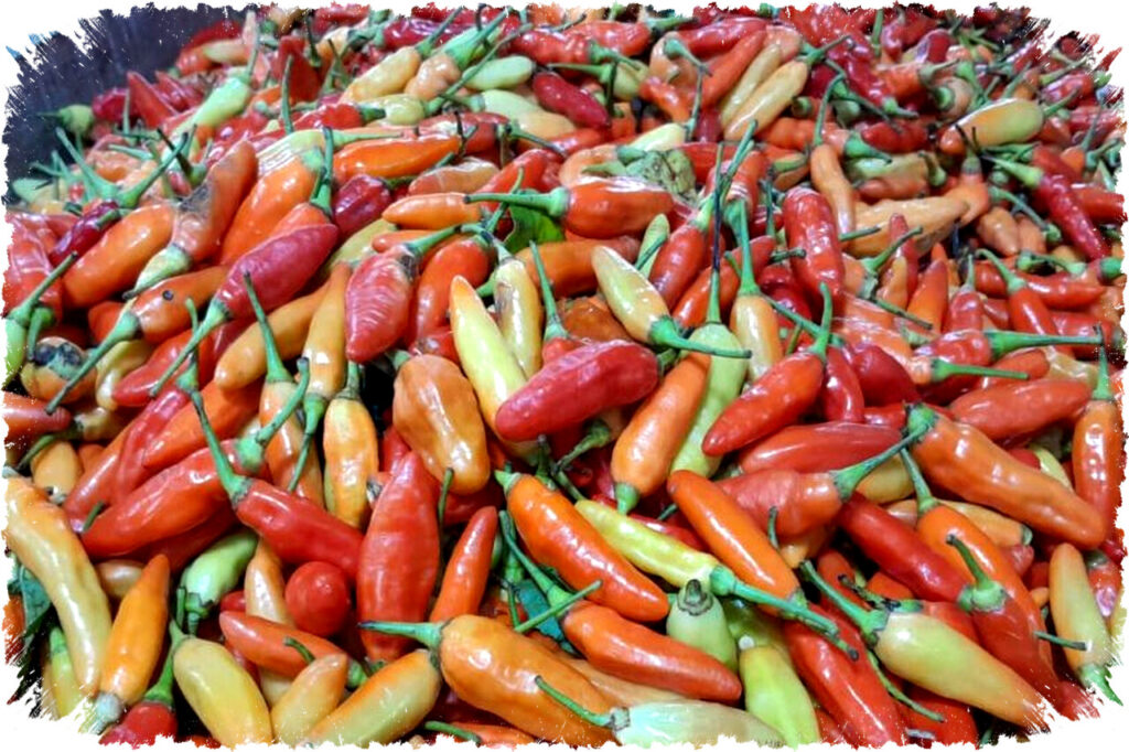 Kenaikan Harga Cabai Rawit dan Daging Ayam Picu Inflasi Menggila di Jawa Timur, Bagaimana Dampaknya Pada Daya Beli Masyarakat?