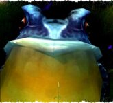 World of Warcraft Kembali Geger Dengan Serbuan Pembantaian Kodok Tak Berujung, Skinning Maksimal Sebelum Blizzard Bertindak!