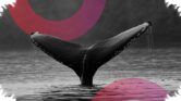Whale Ethereum ICO Bangun Setelah 10 Tahun, Investasi $3.100 Kini Bernilai $23 Juta Whale Ethereum ICO Bangun Setelah 10 Tahun, Investasi $3.100 Kini Bernilai $23 Juta