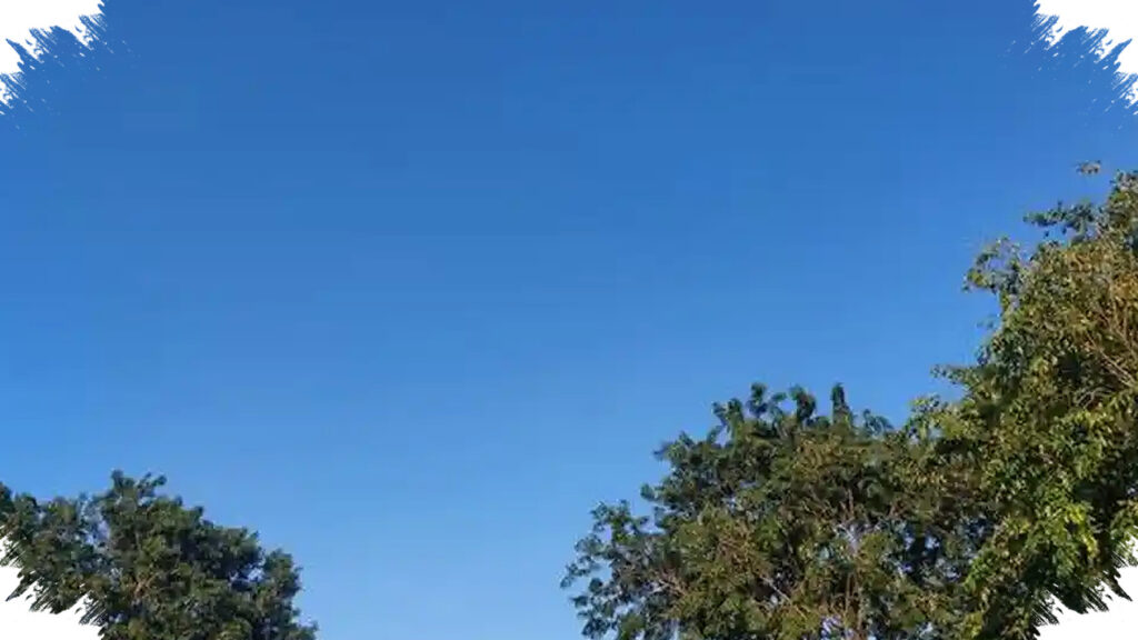 Cuaca Panas Menyengat di Siang Hari, Ini Penyebabnya dan Kapan Akhirnya Mereda?