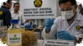 ESDM Uji Bobibos Di Laboratorium, Nasib Bahan Bakar Jerami Ditentukan Lemigas