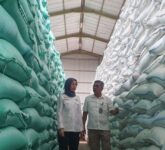 Bulog Bidik 893 Ribu Ton Beras SPHP Pada 2026, Dorongan Besar Menahan Harga Pangan Bulog Bidik 893 Ribu Ton Beras SPHP Pada 2026, Dorongan Besar Menahan Harga Pangan