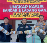 Polda Sumsel Bongkar Ladang Ganja 20 Hektar, Bandar Langsung Ditangkap Saat Distribusi Polda Sumsel Bongkar Ladang Ganja 20 Hektar, Bandar Langsung Ditangkap Saat Distribusi