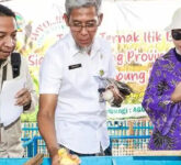 Jawa Tengah Andalkan Petani Milenial, Regenerasi Jadi Kunci Ketahanan Pangan Di Tengah Ancaman Alih Fungsi Lahan Jawa Tengah Andalkan Petani Milenial, Regenerasi Jadi Kunci Ketahanan Pangan Di Tengah Ancaman Alih Fungsi Lahan