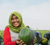 Benih Unggul Jadi Benteng Pasokan Hortikultura, Ewindo Kejar Produktivitas Petani Di Tengah Biaya Melonjak