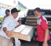 Ratusan Burung Dari Tanjung Perak Dilepasliarkan, BKSDA Jatim Ungkap Alasan Tak Menunda Lagi