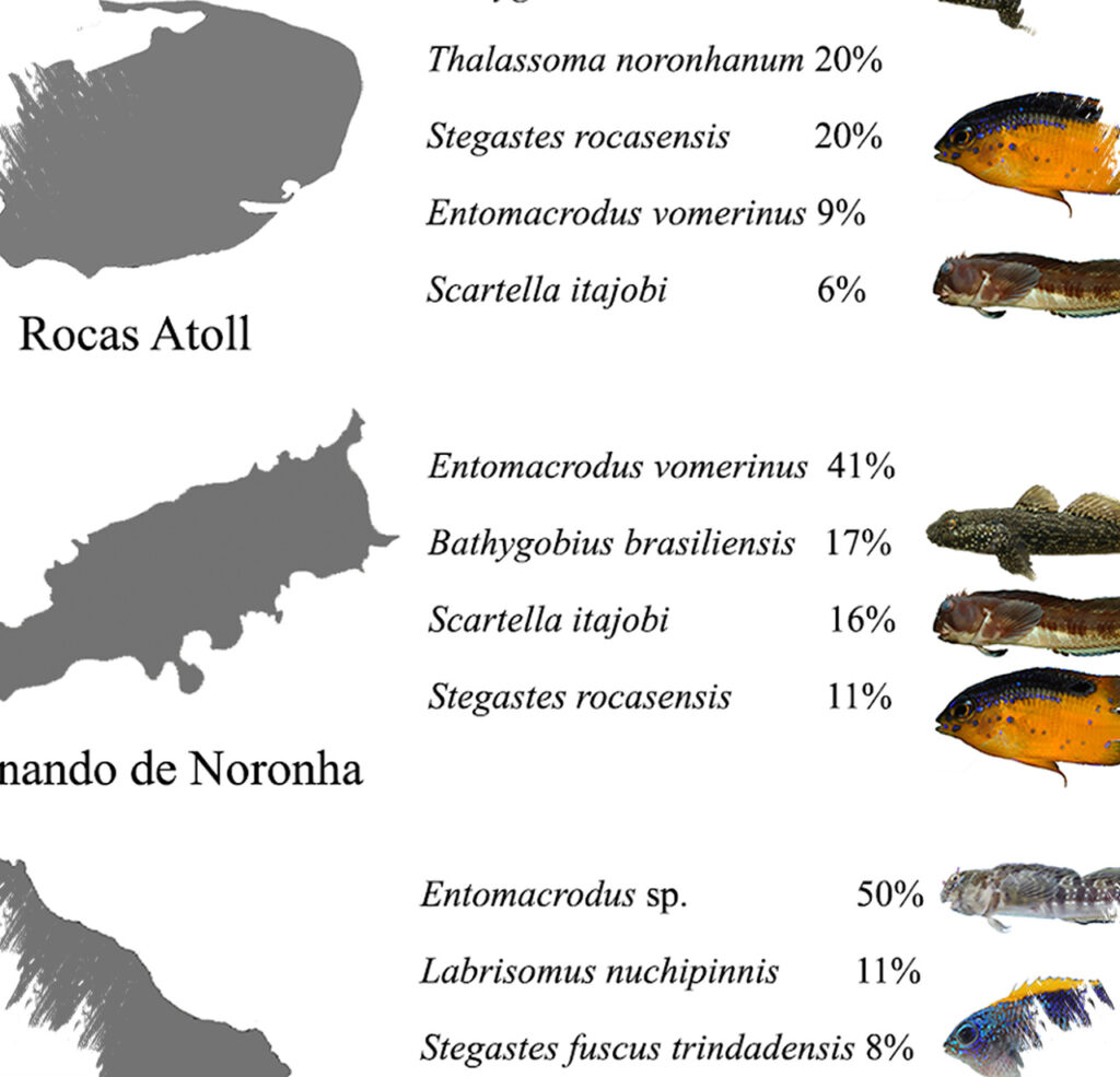 5 Ikan Endemik Yang Aman Dikonsumsi Tiap Hari, Nomor 4 Justru Mulai Langka