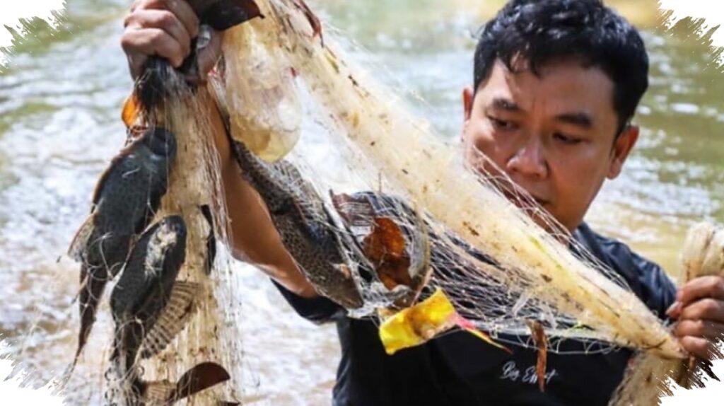 Dari Sungai Amazon ke Sungai Tercemar, Sapu-Sapu Sumber Protein yang Berbahaya di Indonesia