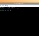Raspberry Pi OS Perketat Sudo, Keamanan Naik tapi Workflow Pengguna Lama Tersendat