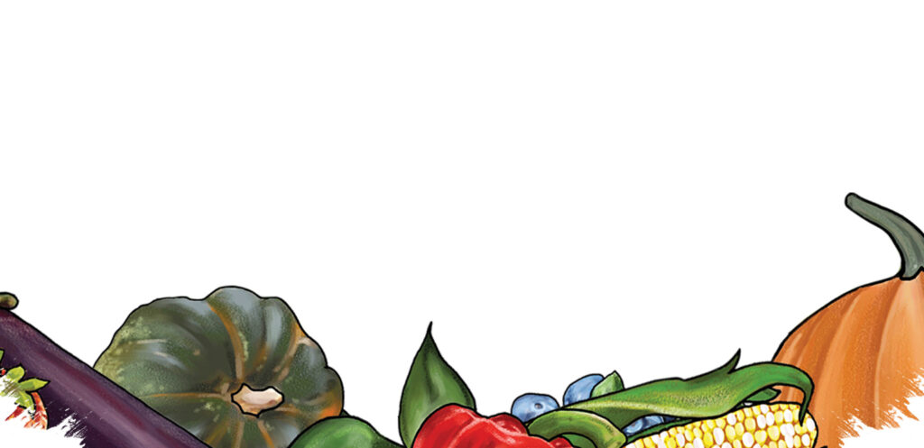 Sisa Lahan Jangan Dibiarkan Mati, Kebun Melon Petik Sendiri Ini Tunjukkan Jalannya Jadi Cuan