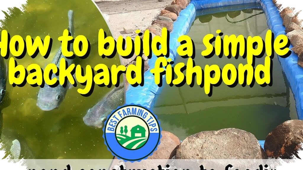 Kolam Terpal 1x1 Meter Tak Bisa Diremehkan, 10 Ekor Nila Bisa Panen Cuan dalam 3–5 Bulan
