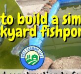 Kolam Terpal 1x1 Meter Tak Bisa Diremehkan, 10 Ekor Nila Bisa Panen Cuan dalam 3–5 Bulan