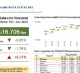 DMO 35 Persen Tahan Harga Minyakita, Minyak Goreng Rakyat Turun Ke Rp15.961