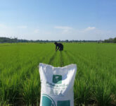 Krakatau Posco Pertahankan Proper Hijau 3 Tahun, Satu-Satunya di Industri Baja