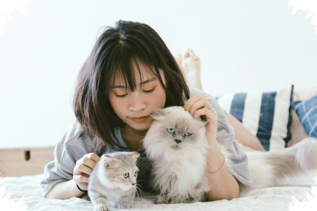 Pecinta Kucing Ternyata Lebih Cerdas dan Sensitif, Ini 6 Ciri Kepribadiannya